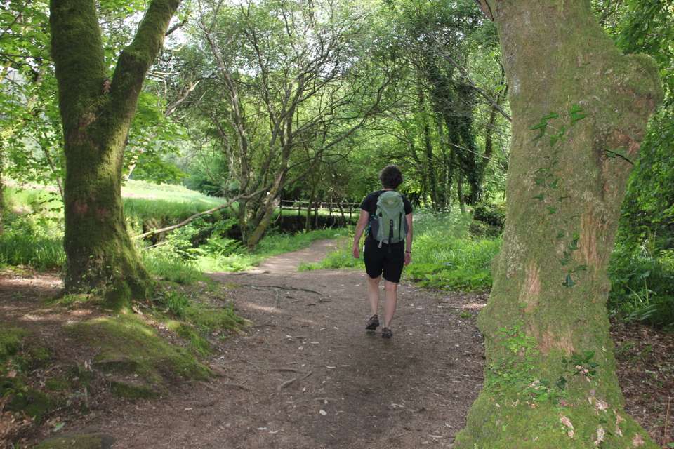 Portuguese Camino Highlights Walk - Exodus Adventure Travels - Portugal