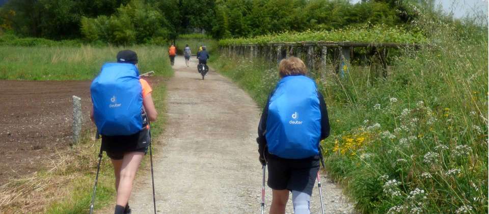 Portuguese Camino - Lisbon to Coimbra - Utracks - Portugal - Image 6