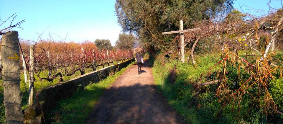 Portuguese Camino - Lisbon to Coimbra - Utracks - Portugal - Image 7