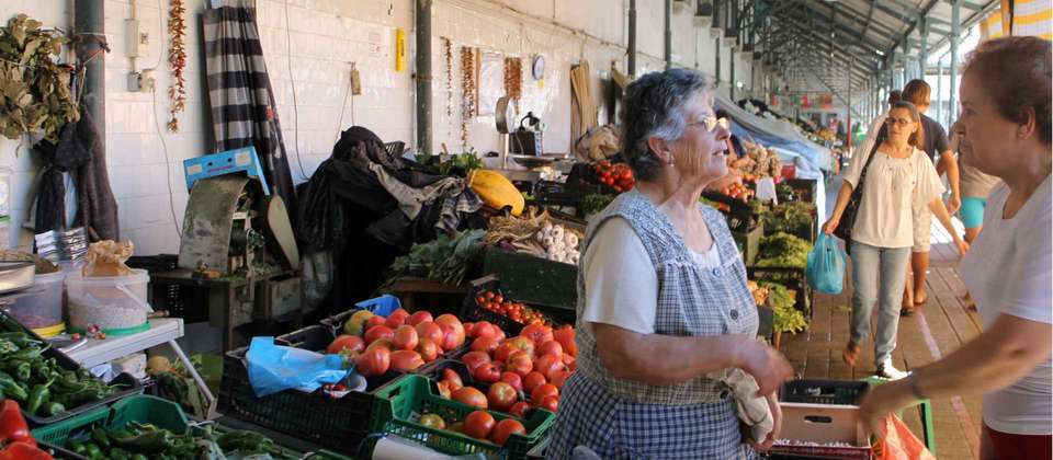 Portuguese Camino - Lisbon to Coimbra - Utracks - Portugal - Image 8