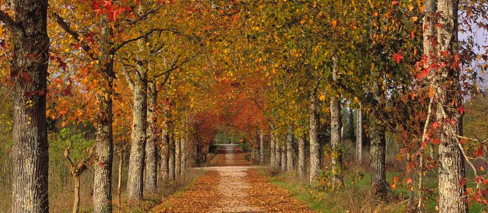 Portuguese Camino - Porto to Santiago - Utracks - Portugal - Image 5