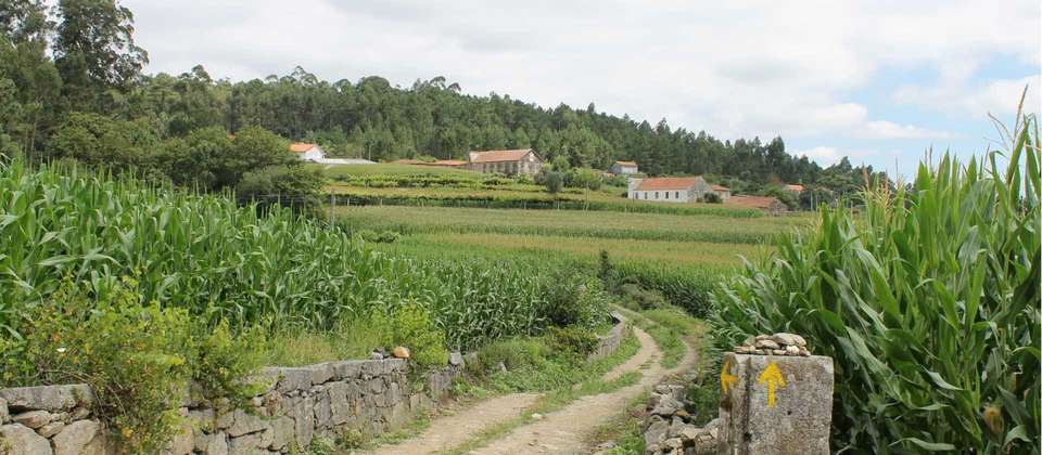 Portuguese Camino - Porto to Santiago - Utracks - Portugal - Image 6