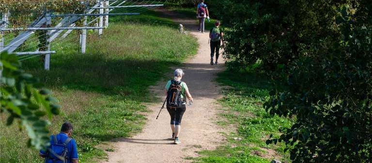 Porto Trekking and Hiking Tour: Portuguese Camino - Porto to Tui