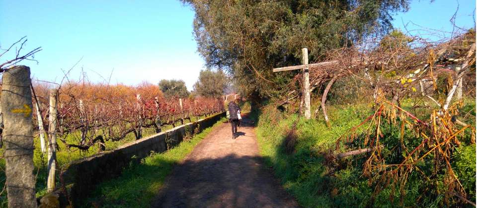 Portuguese Camino - Tui to Santiago - Utracks - Spain - Image 5