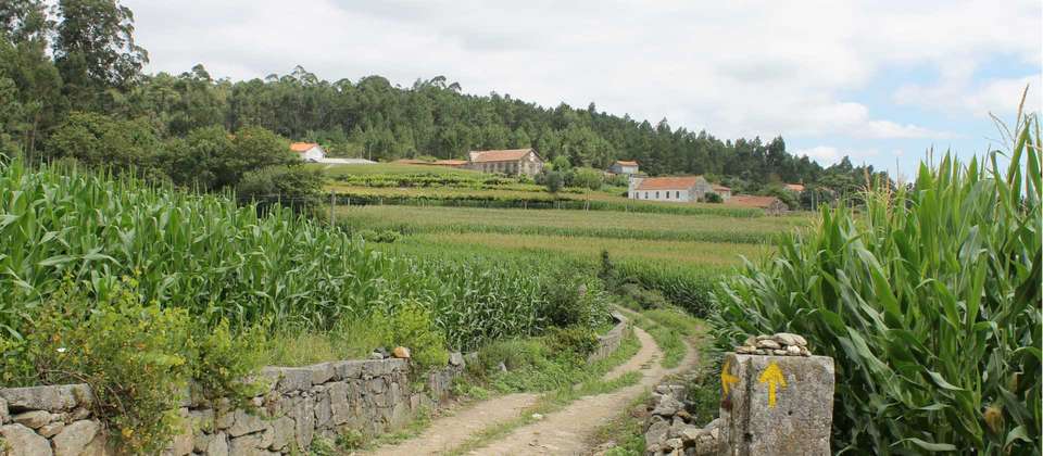 Portuguese Coastal Camino - Viana do Castelo to Santiago - Utracks - Portugal - Image 5