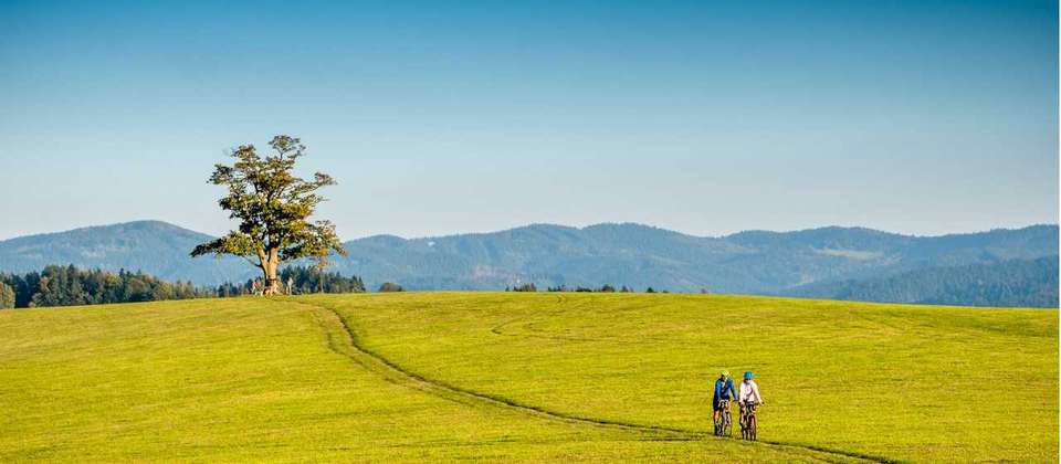 Prague to Dresden Self Guided Cycle - Utracks - Czech Republic - Image 6