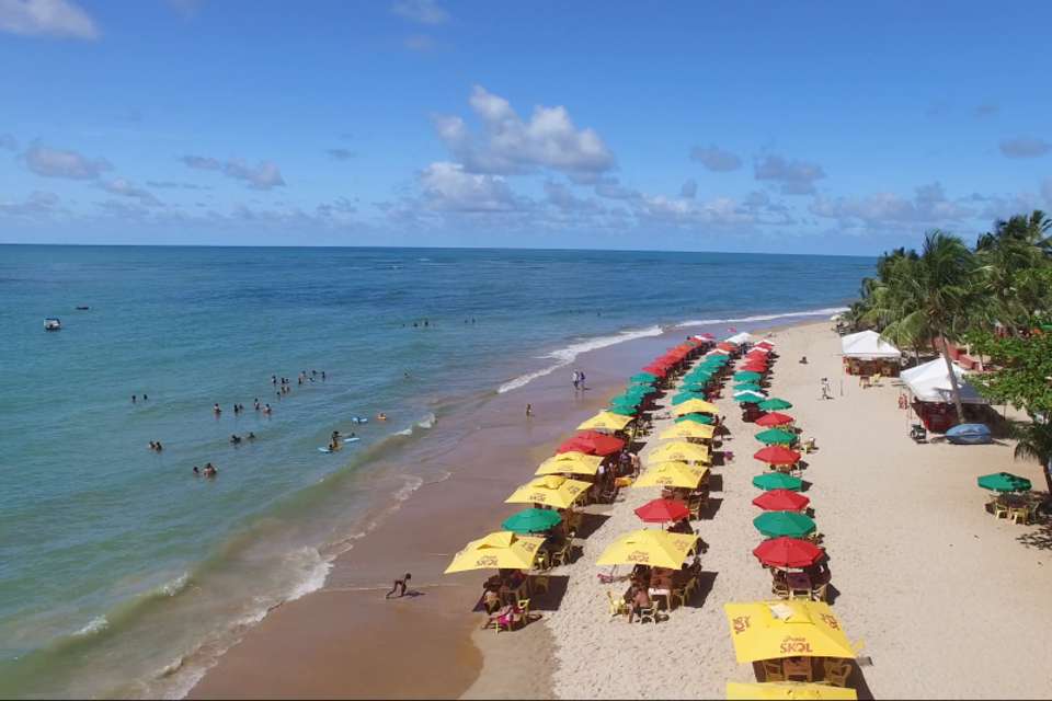 Praia Do Forte & Guarajuba Beach Day Trip - Tangol Tours - Brazil - Image 6