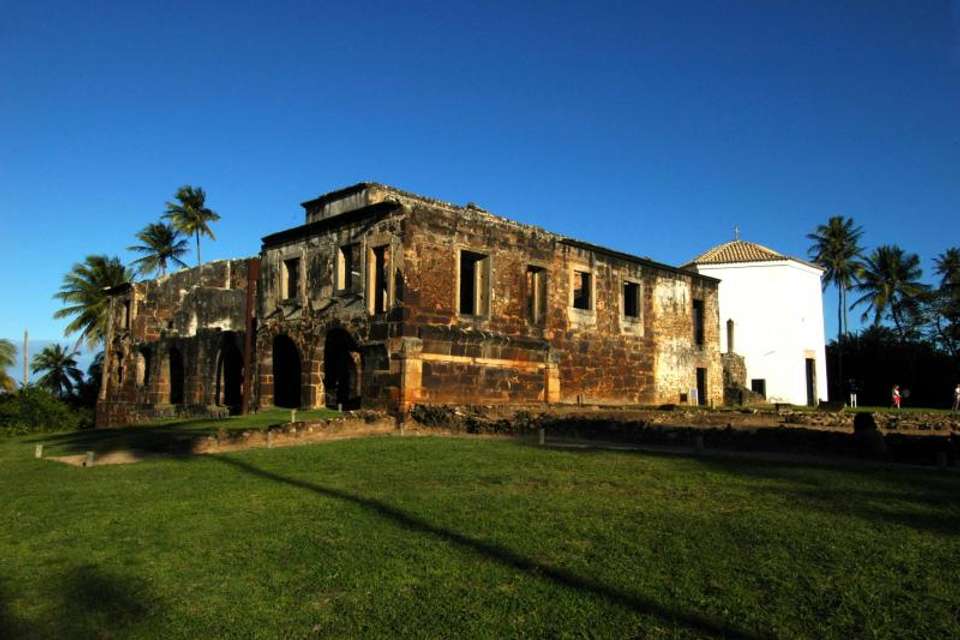Praia Do Forte & Guarajuba Beach Day Trip - Tangol Tours - Brazil - Image 2