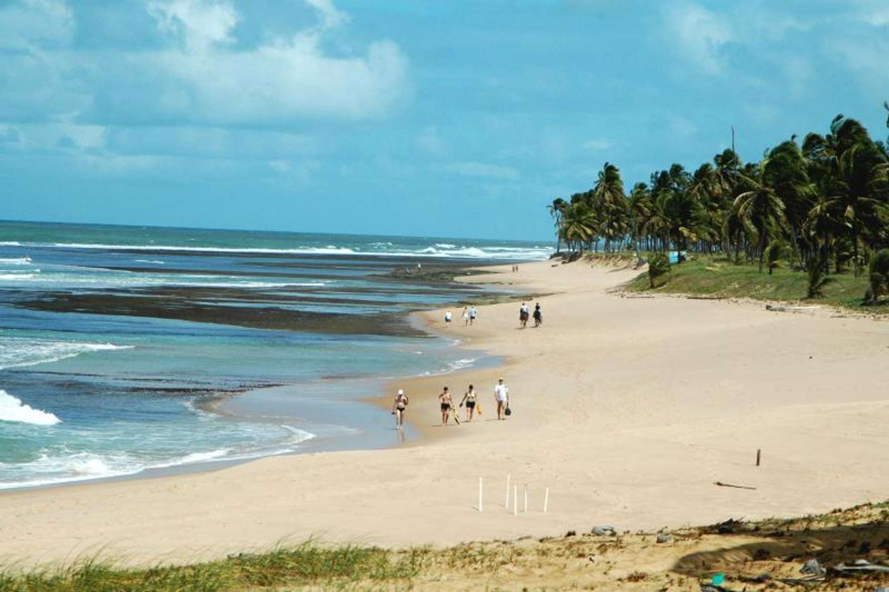 Image 1 of 5