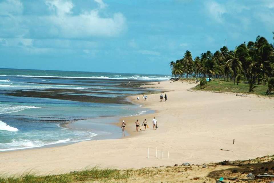 Praia Do Forte & Guarajuba Beach Day Trip - Tangol Tours - Brazil - Image 1