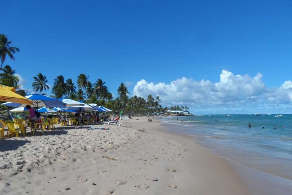 Praia Do Forte & Guarajuba Beach Day Trip - Tangol Tours - Brazil - Image 4