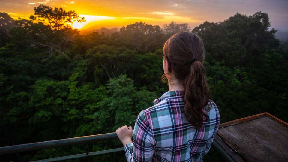 Premium Amazon Rainforest Add-on Tour (from Cuzco) - undefined - Image 5