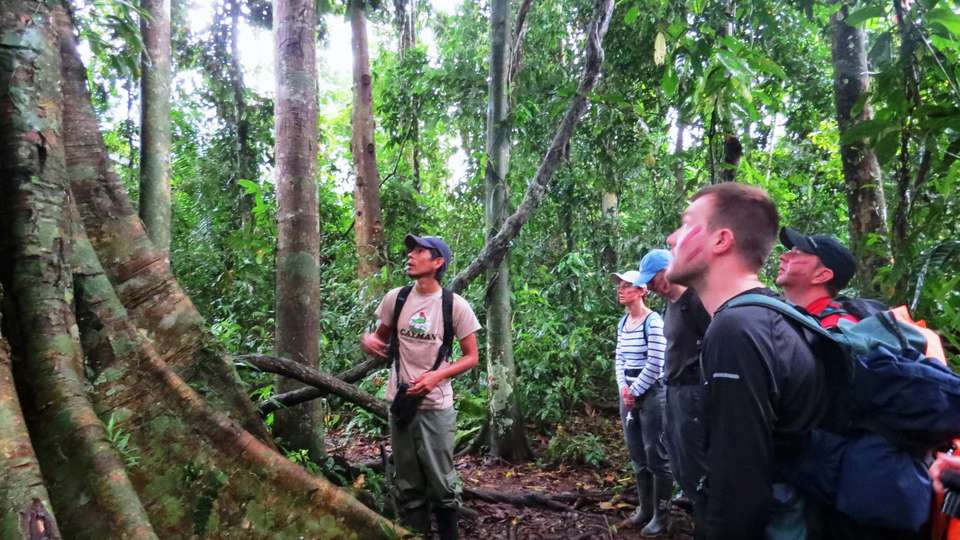 Premium Amazon Rainforest Add-on Tour (from Cuzco) - undefined - Image 6