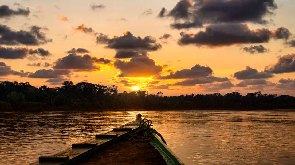 Premium Amazon Rainforest Add-on Tour (from Cuzco) - undefined - Image 11