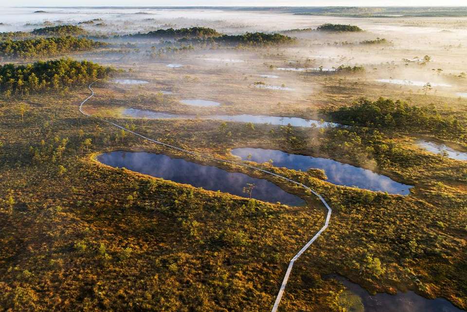Premium Baltics - Intrepid Travel - Estonia - Image 2