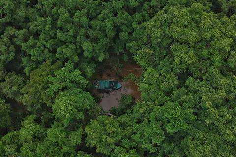 Wildlife Tour: Premium Borneo In Depth