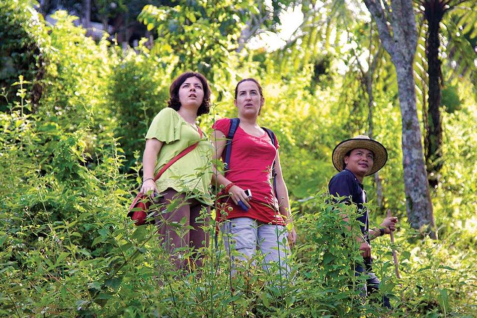 Premium Borneo in Depth - Intrepid Travel - Malaysia - Image 2