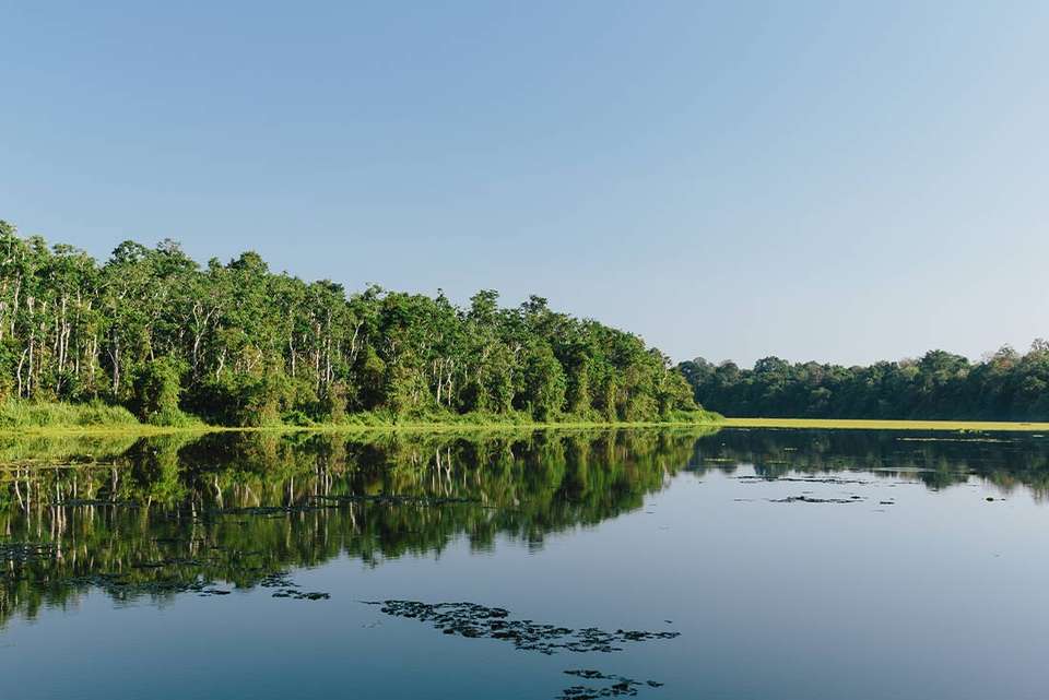 Premium Borneo in Depth - Intrepid Travel - Malaysia - Image 11