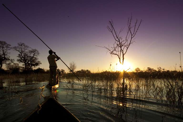 Premium Botswana trip - alternative tour available