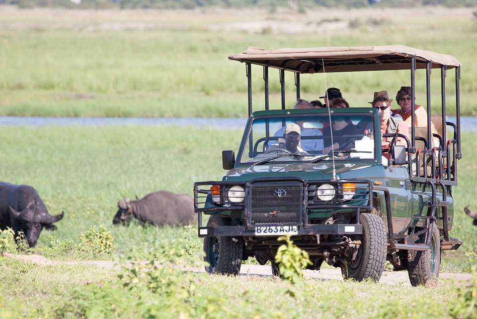 Premium Botswana - Intrepid Travel - Botswana - Image 2
