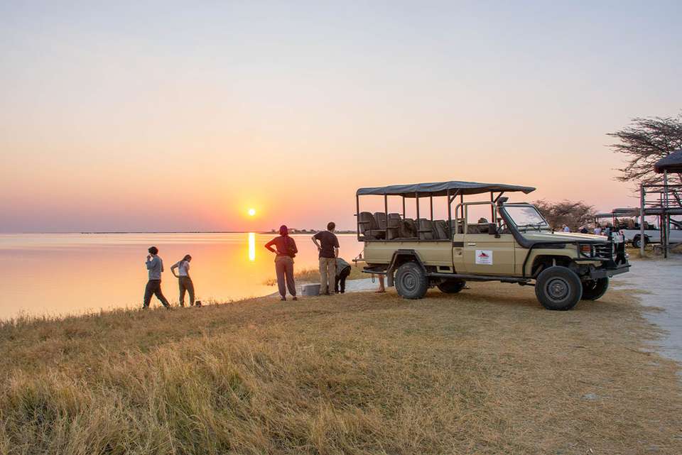 Premium Botswana - Intrepid Travel - Botswana - Image 4