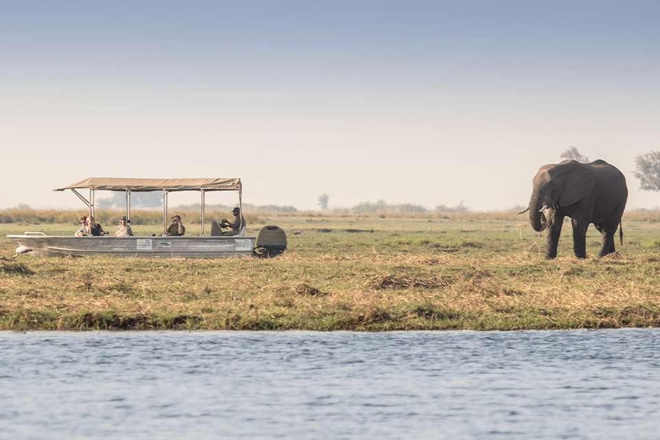 Premium Botswana - Intrepid Travel - Botswana - Image 5