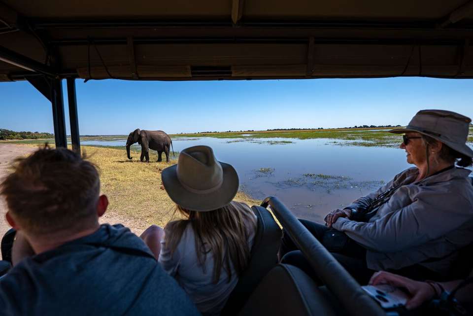 Premium Botswana - Intrepid Travel - Botswana - Image 10