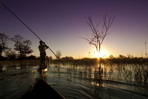 Africa Wildlife Safaris And Game Drives Tour: Premium Botswana