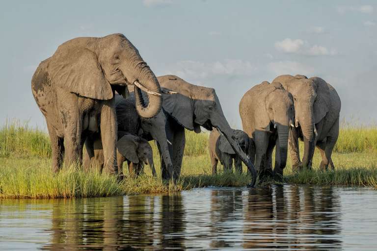 Premium Botswana & Namibia trip - alternative tour available