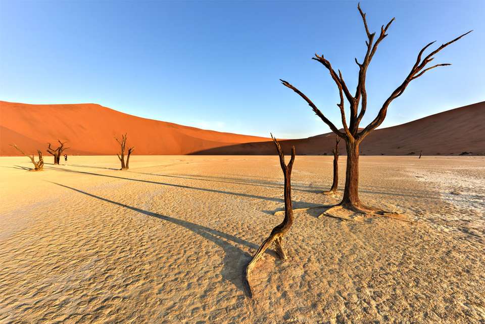 Premium Botswana & Namibia - undefined - Image 10