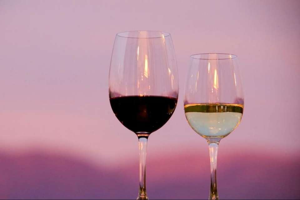 Premium Cafayate Wine Route - Tangol Tours - Argentina - Image 2