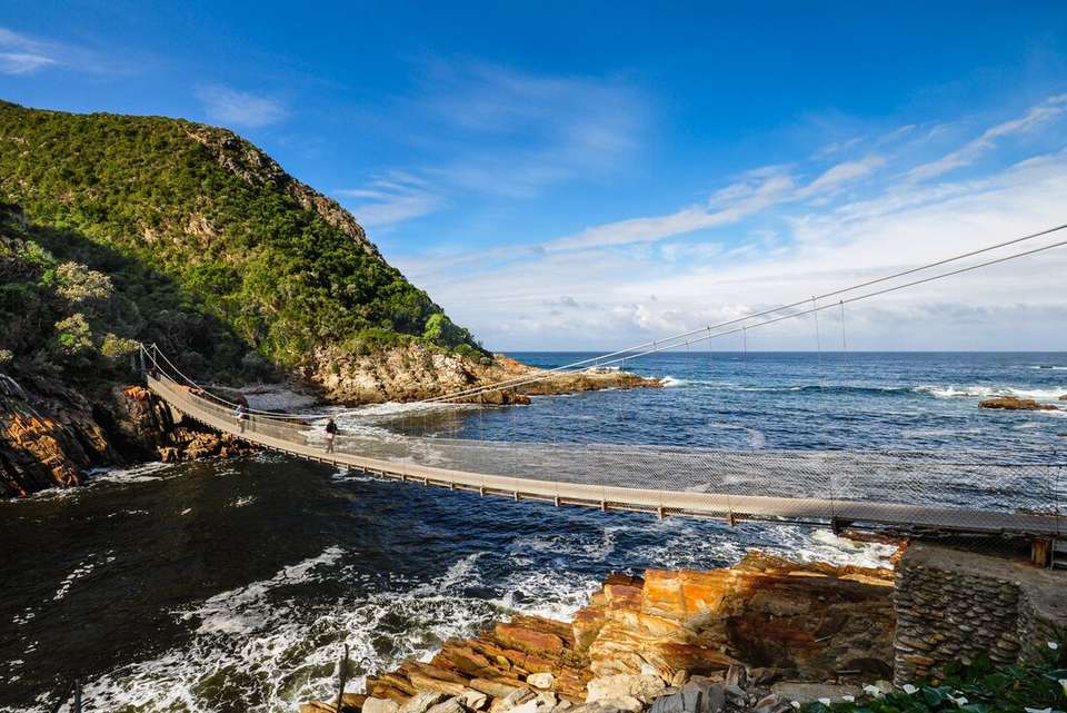 Premium Cape Town and the Garden Route - undefined - Image 5