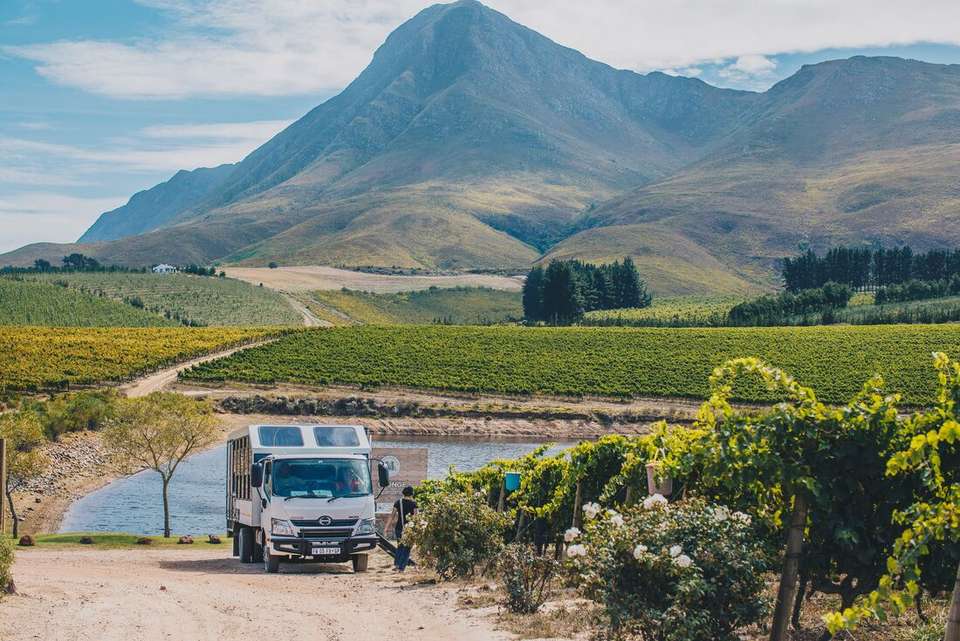 Premium Cape Town and the Garden Route - undefined - Image 12