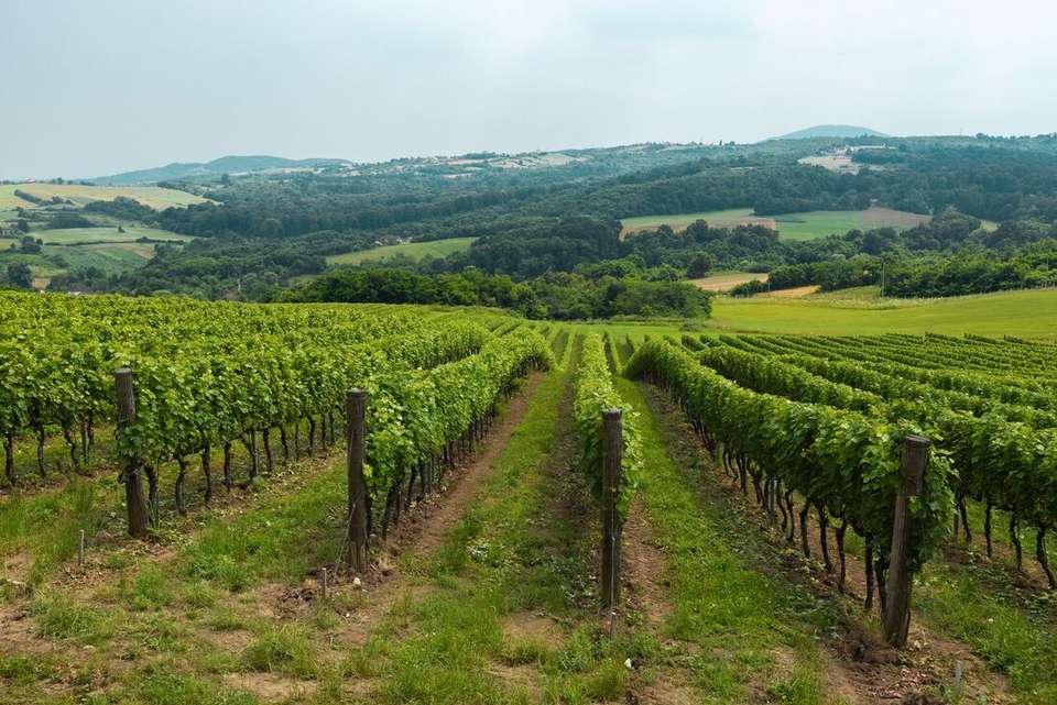 Premium Central Europe - Intrepid Travel - Czech Republic - Image 3
