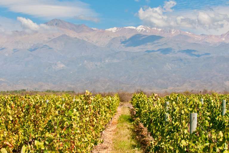 Premium Chile & Argentina trip - alternative tour available