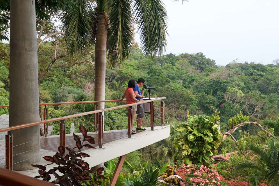 Premium Costa Rica - Intrepid Travel - Costa Rica - Image 15