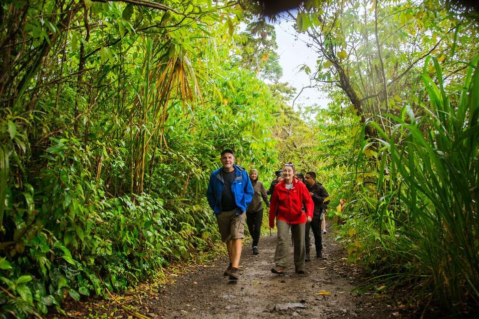 Premium Costa Rica in Depth - Intrepid Travel - Costa Rica - Image 3