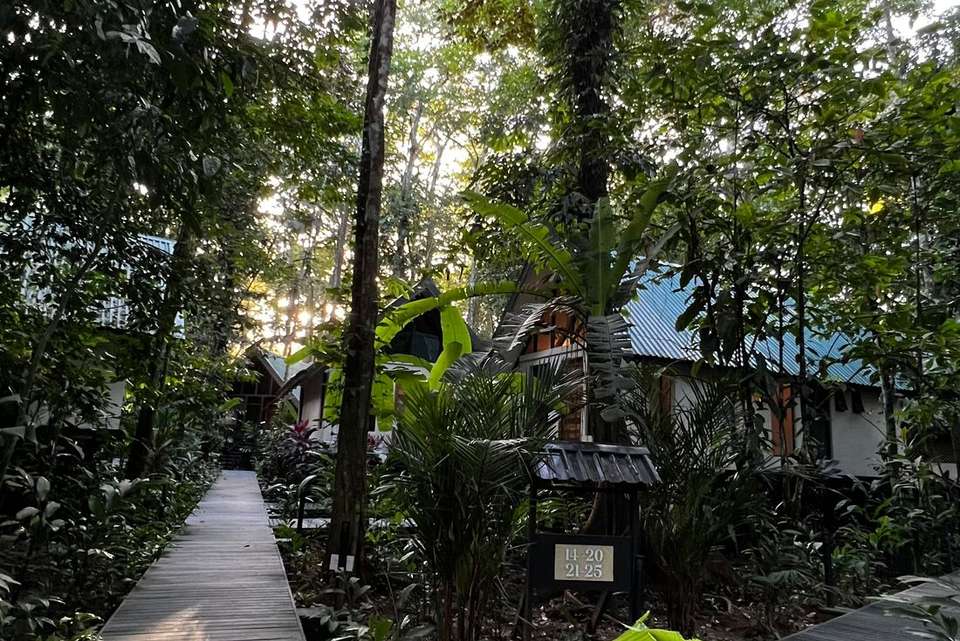 Premium Costa Rica in Depth - Intrepid Travel - Costa Rica - Image 4