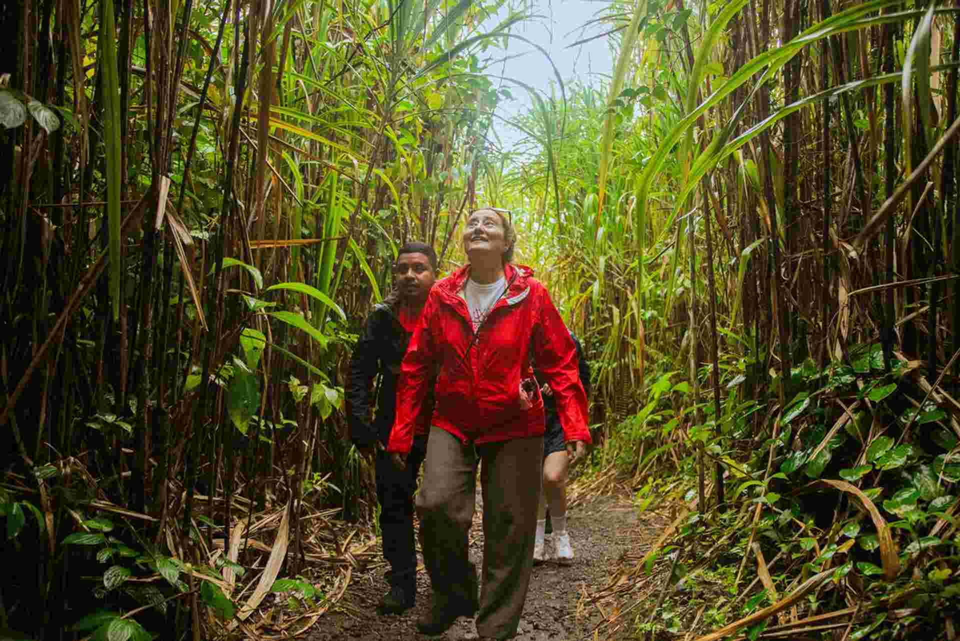 Premium Costa Rica: Tortuguero and Caribbean Coast