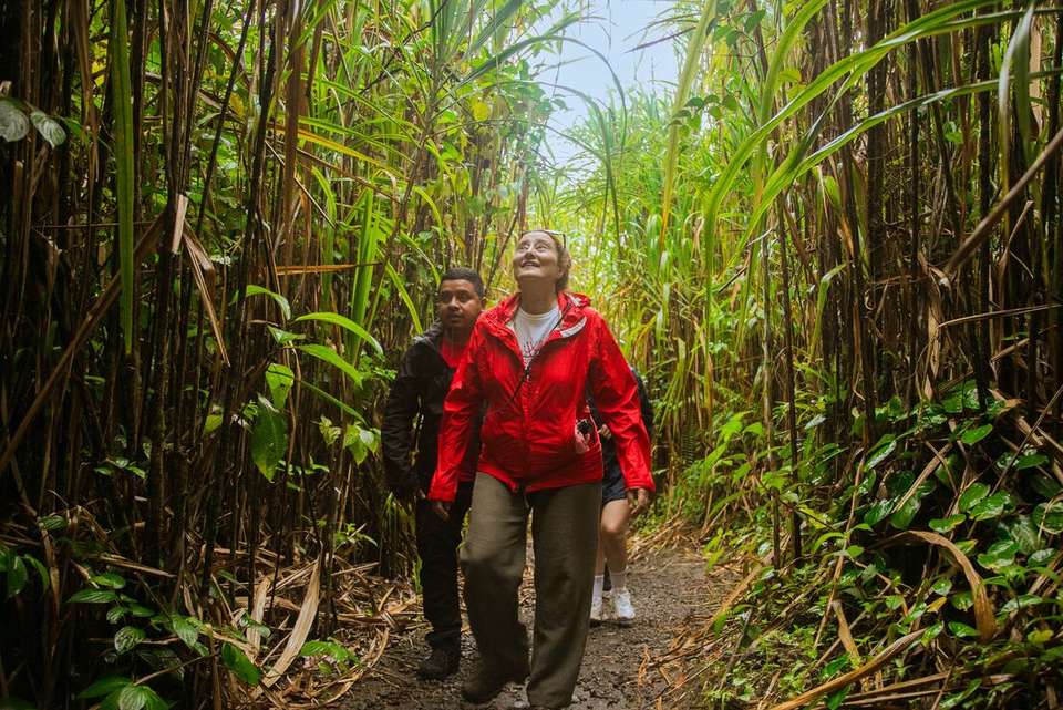 Premium Costa Rica: Tortuguero and Caribbean Coast - Intrepid Travel - Costa Rica - Image 1