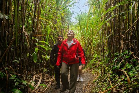 Premium Costa Rica: Tortuguero And Caribbean Coast - Summer Tours
