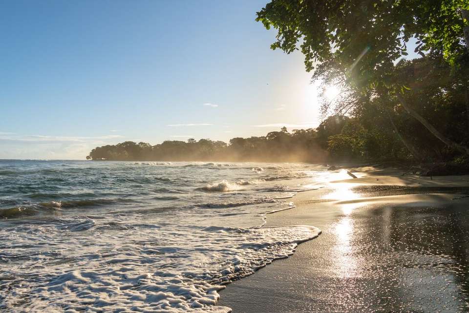 Premium Costa Rica: Tortuguero and Caribbean Coast - Intrepid Travel - Costa Rica - Image 3