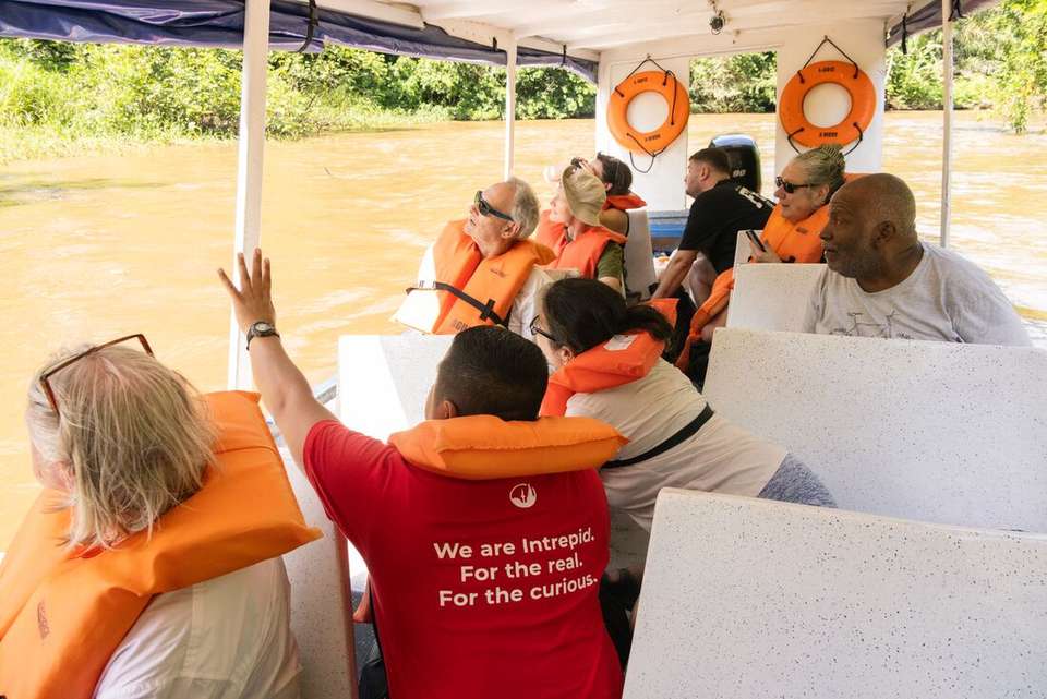 Premium Costa Rica: Tortuguero and Caribbean Coast - Intrepid Travel - Costa Rica - Image 14