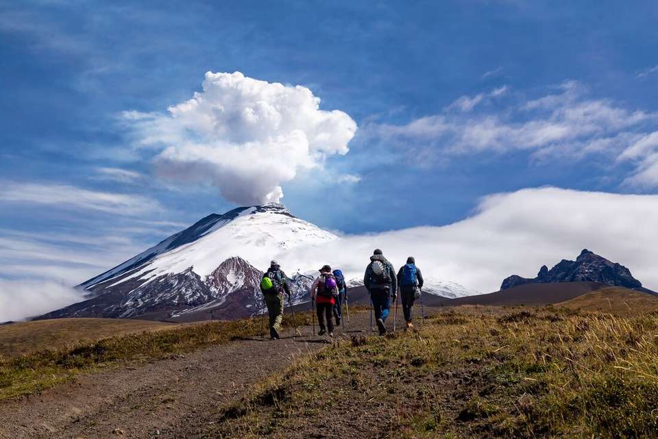 Premium Ecuador - undefined - Image 1