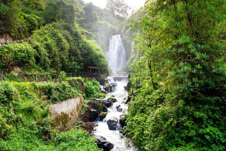 Premium Ecuador - undefined - Image 18