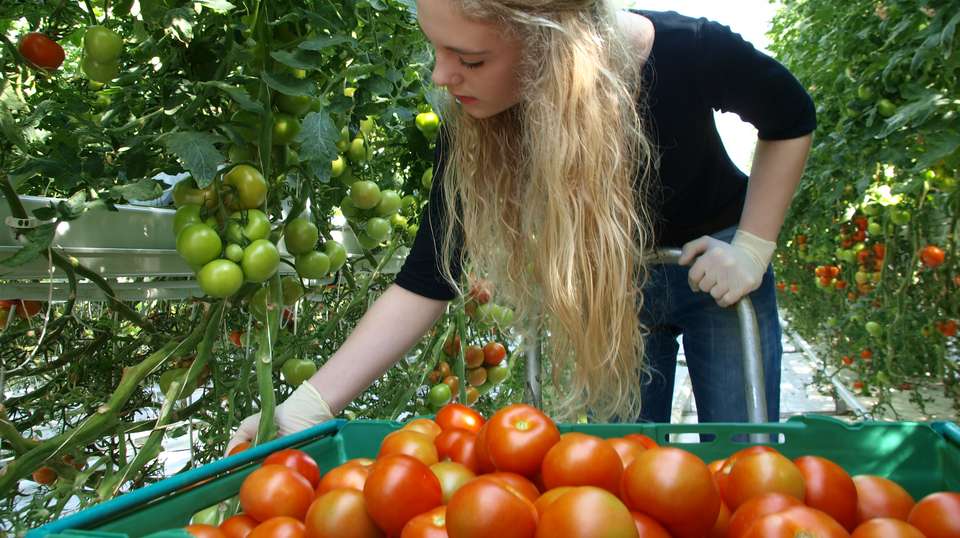 Premium Golden Circle Tour- Small Bus Experience  - Bustravel Iceland - Iceland