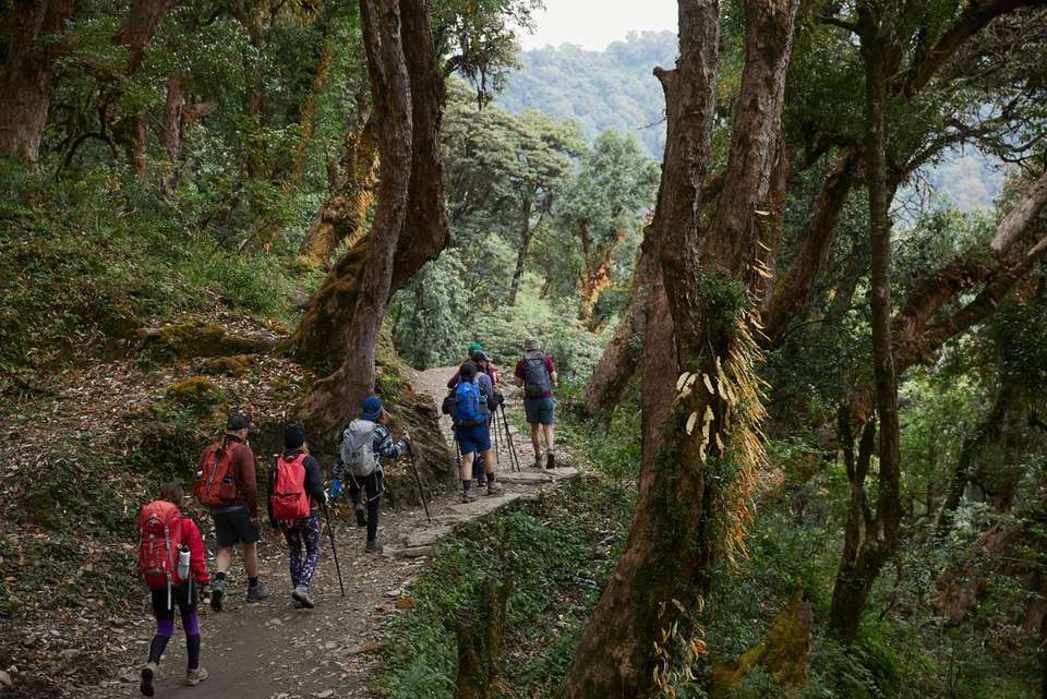 Premium Hiking and Trekking in Nepal's Annapurna region - Intrepid Travel - Nepal - Image 8