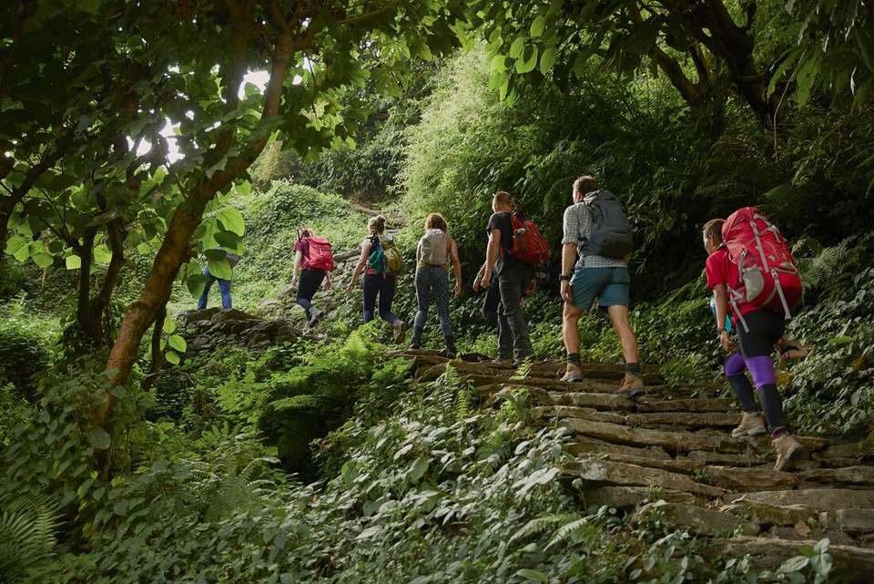 Premium Hiking and Trekking in Nepal's Annapurna region - Intrepid Travel - Nepal - Image 9