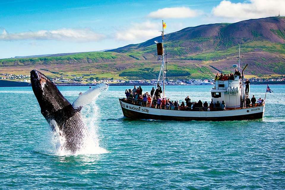 Premium Iceland - Intrepid Travel - Iceland - Image 3