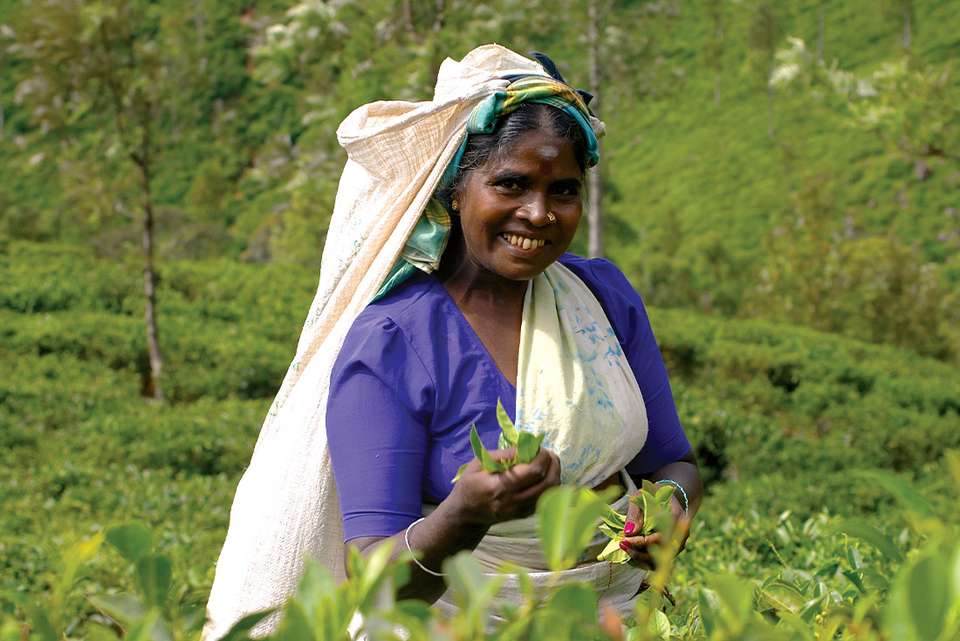 Premium India and Sri Lanka - Intrepid Travel - India - Image 7